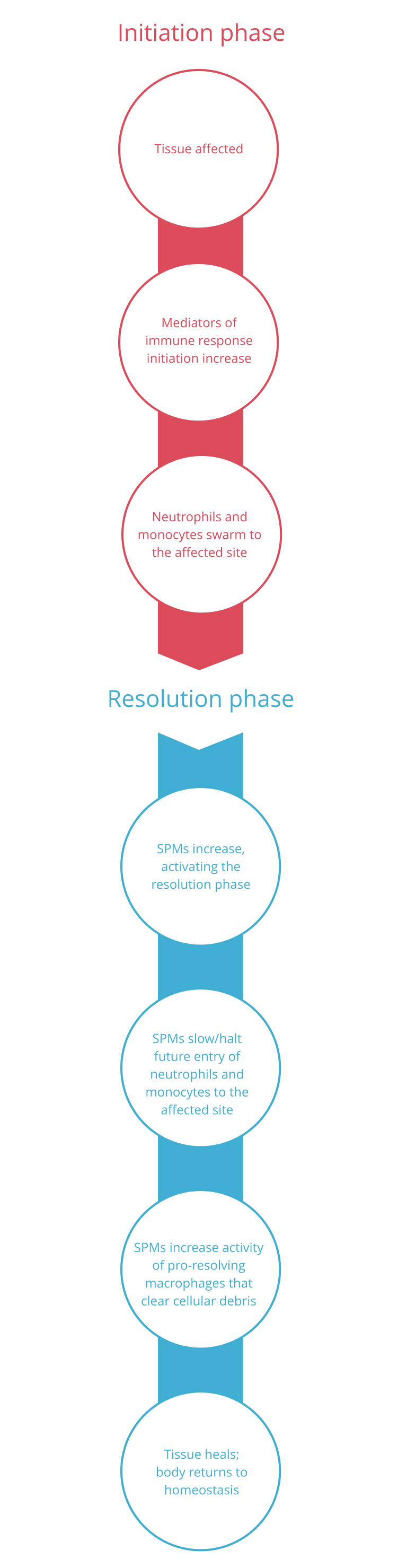 SPMs initiation to resolution infographic